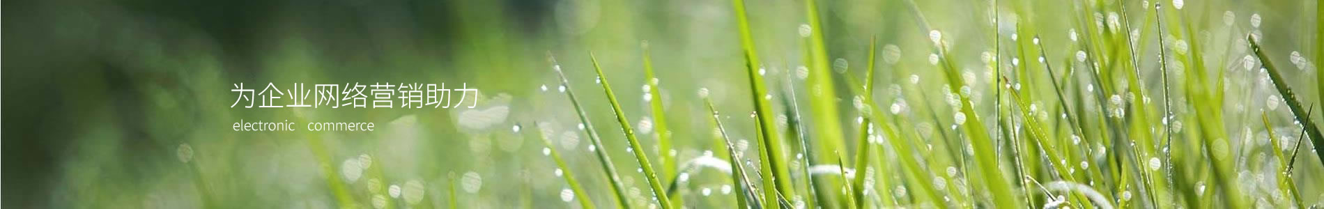 ؿó޹˾